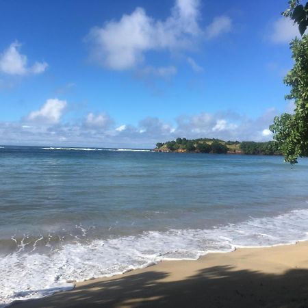 Studio Ana Martinique Ла-Трините Экстерьер фото