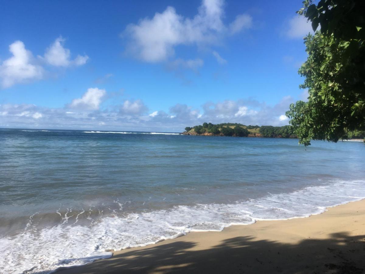 Studio Ana Martinique Ла-Трините Экстерьер фото